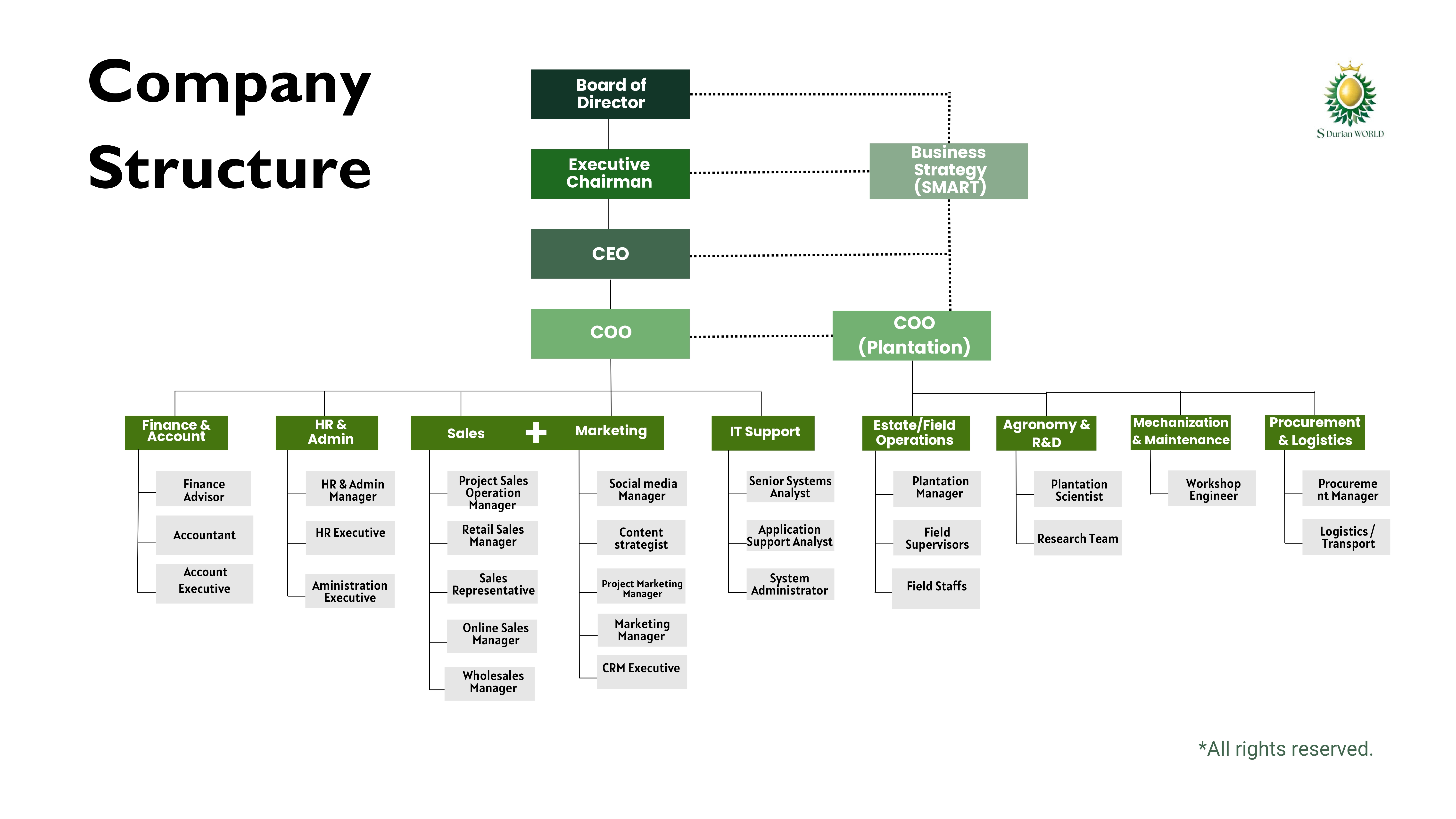 Company Structure
